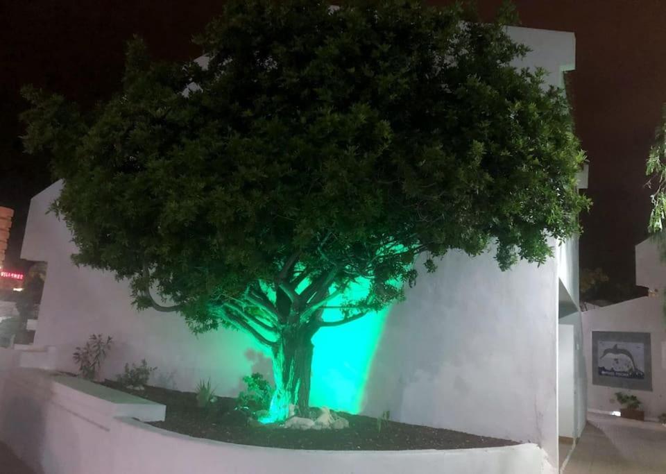 Apartamento Lucia Garden City Con Piscina Climatizada Playa Feñabe Exterior foto
