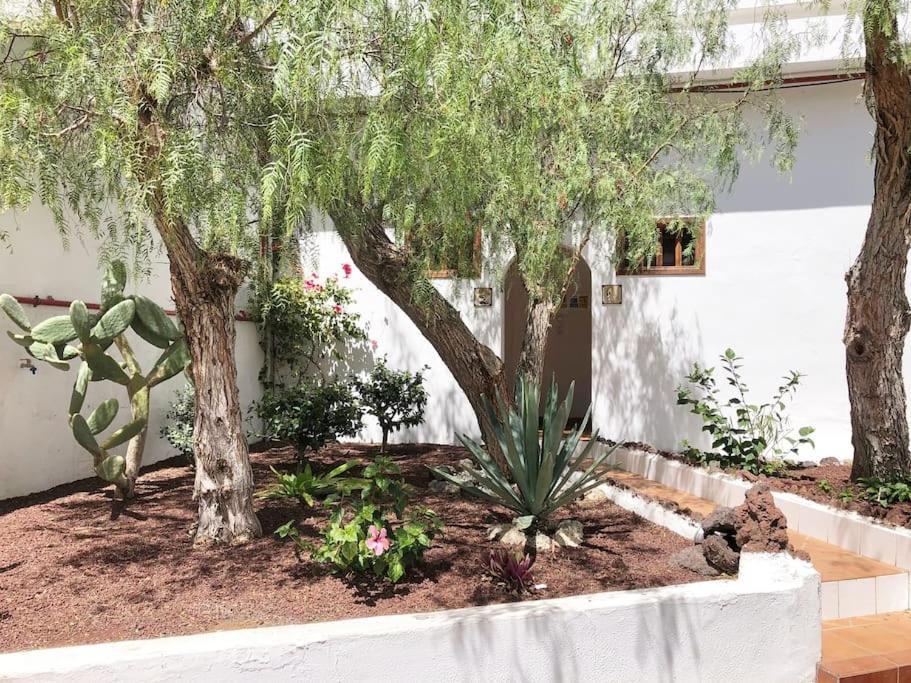 Apartamento Lucia Garden City Con Piscina Climatizada Playa Feñabe Exterior foto