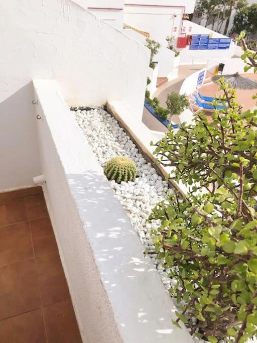 Apartamento Lucia Garden City Con Piscina Climatizada Playa Feñabe Exterior foto