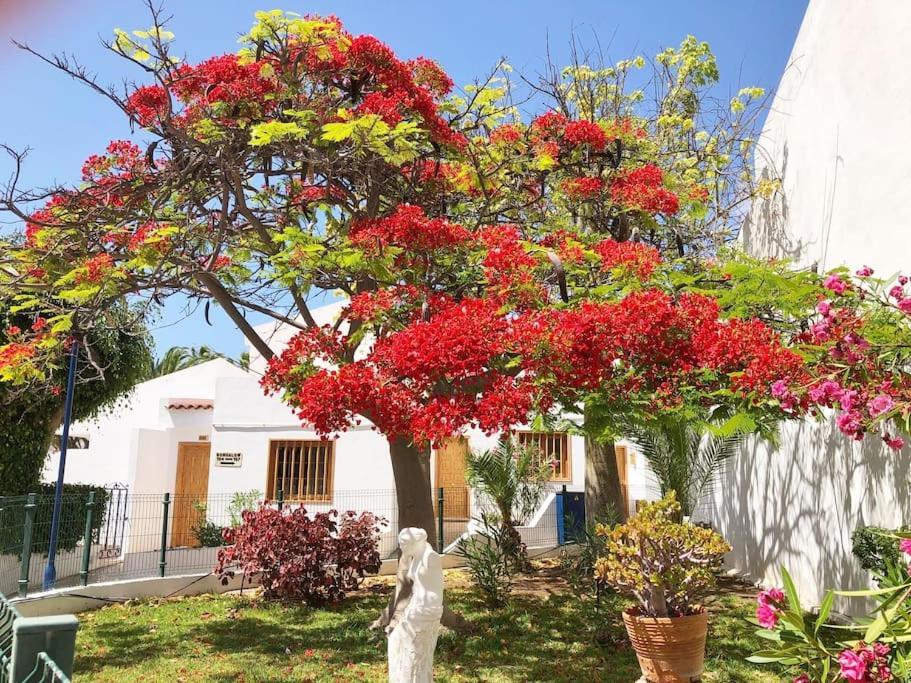 Apartamento Lucia Garden City Con Piscina Climatizada Playa Feñabe Exterior foto