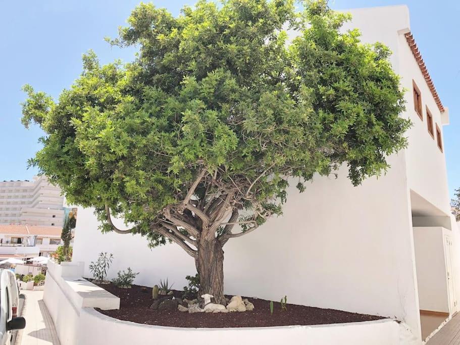 Apartamento Lucia Garden City Con Piscina Climatizada Playa Feñabe Exterior foto